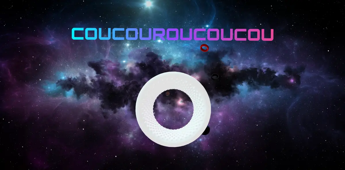 Capture d'écran du projet Coucouroucoucou